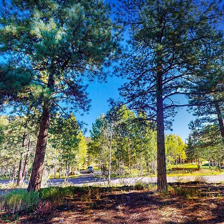 Pinon Pines Villa Южен Форк Екстериор снимка